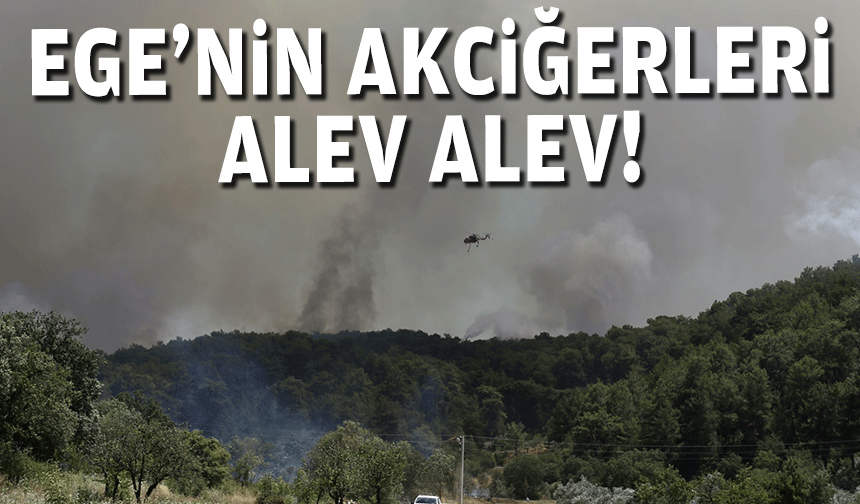 Ege'nin akciğerleri alev alev!
