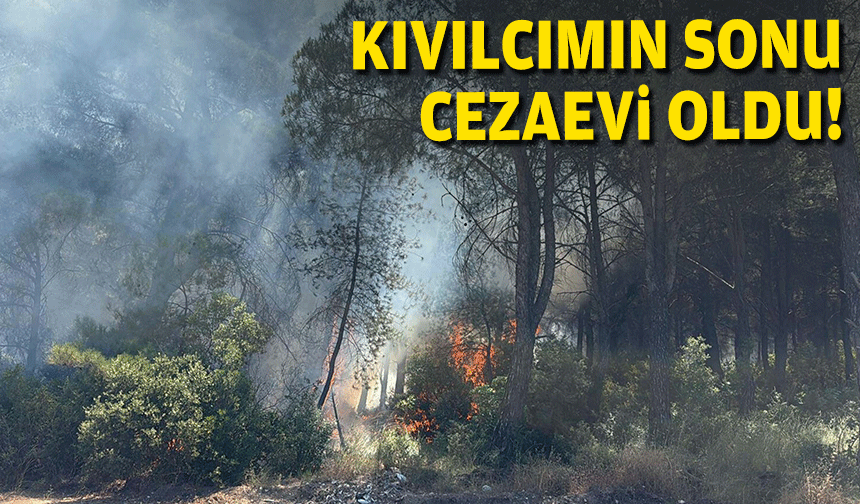 Kıvılcımın sonu cezaevi oldu!