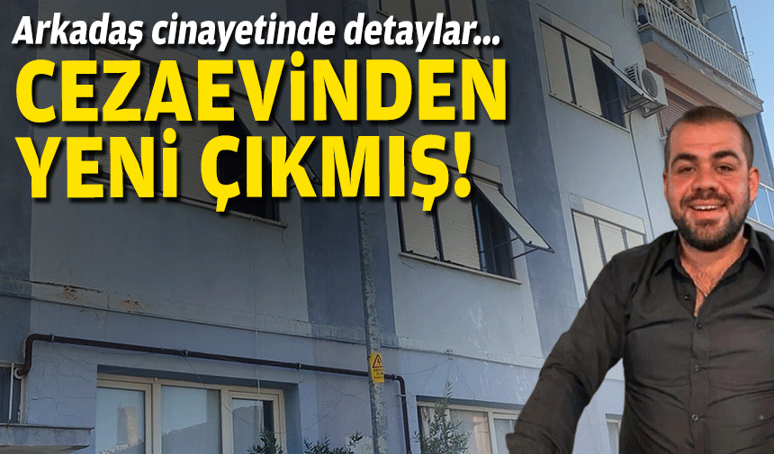 Arkadaş cinayeti!