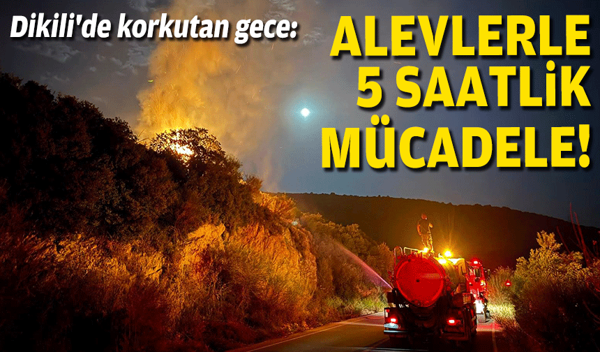 Dikili'de makilik alanda yangın: Müdahale sürüyor!