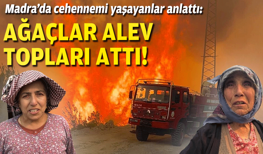 Cehennemi yaşayanlar anlattı: Ağaçlar alev topları attı!