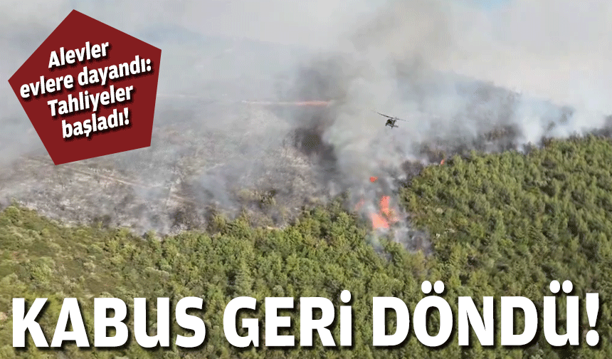 Didim'de kahreden görüntü!