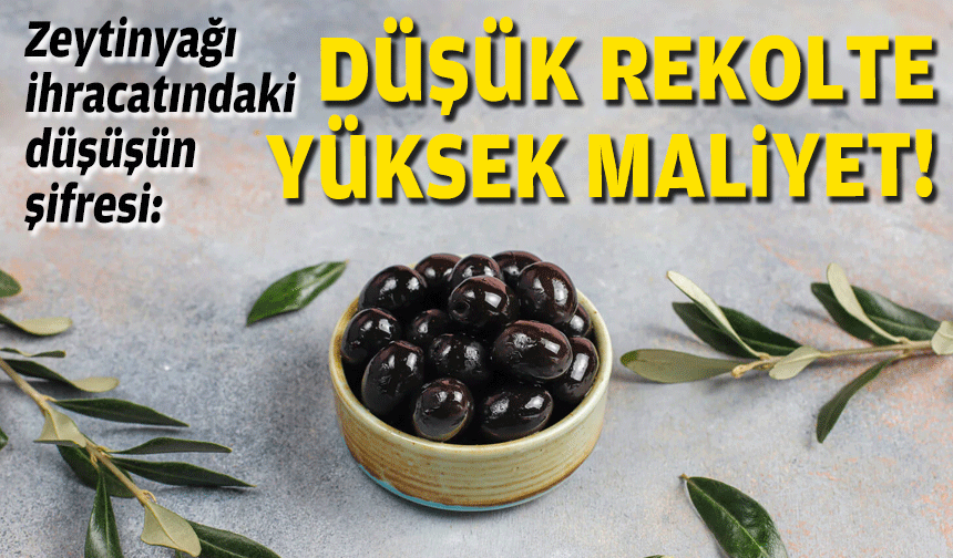 Zeytinyağı ihracatındaki düşüşün şifresi: Düşük rekolte, yüksek maliyet!