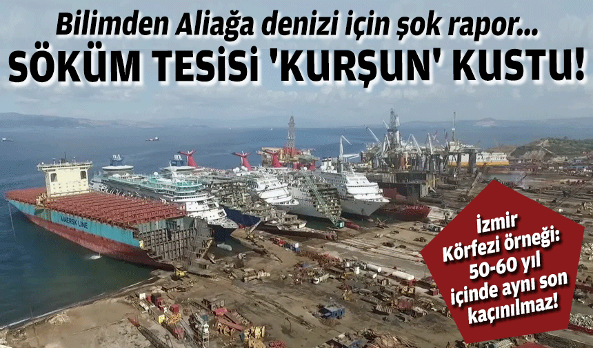 Bilimden Aliağa denizi için şok rapor... Söküm tesisi 'kurşun' kustu!