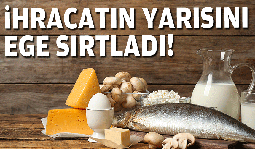 Sektör ihracatının yarısını Ege sırtladı