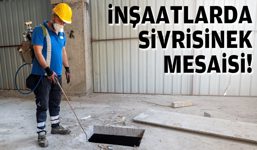 İnşaatlarda sivrisinek mesaisi!