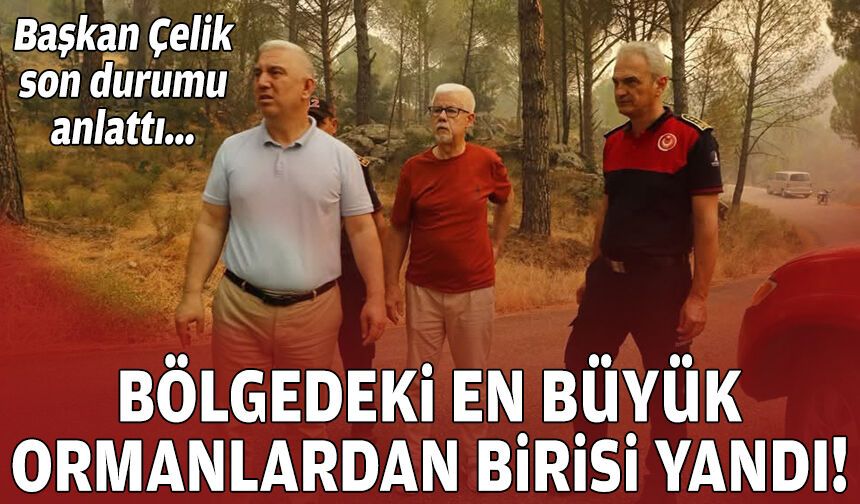 Başkan Çelik son durumu anlattı: Bölgedeki en büyük ormanlardan birisi yandı!
