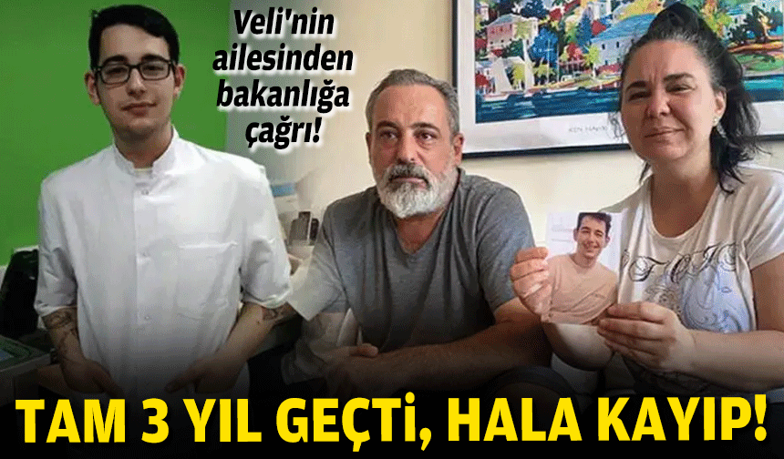 Tam 3 yıl geçti, hala kayıp... Veli'nin ailesinden bakanlığa çağrı!