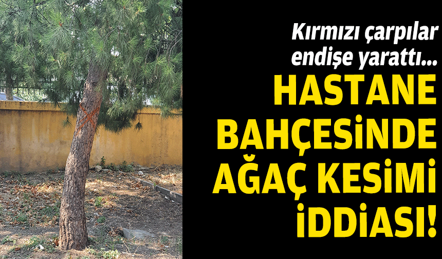 Dr. Suat Seren'de ağaç kıyımı iddiası... Konak Kent Konseyi'nden eylem çağrısı!