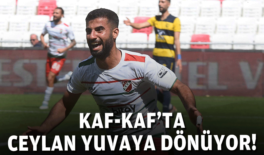 Karşıyaka'da Ceylan yuvaya dönüyor!