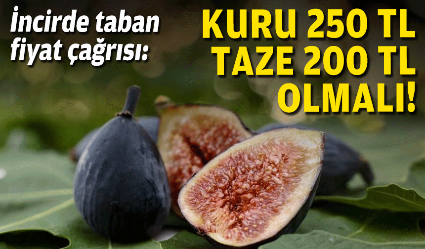 İncirde taban fiyat çağrısı: Kuru 250, taze 200 TL olmalı!