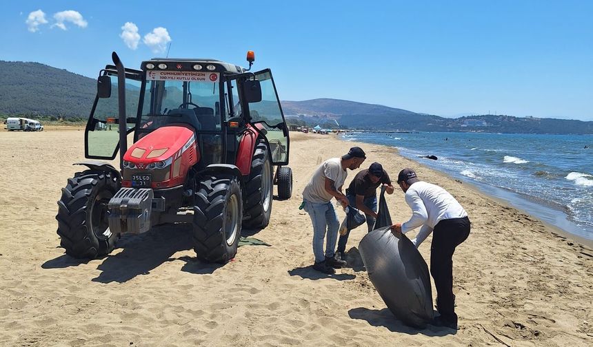 Selçuk sahillerinde temizlik mesaisi devam ediyor