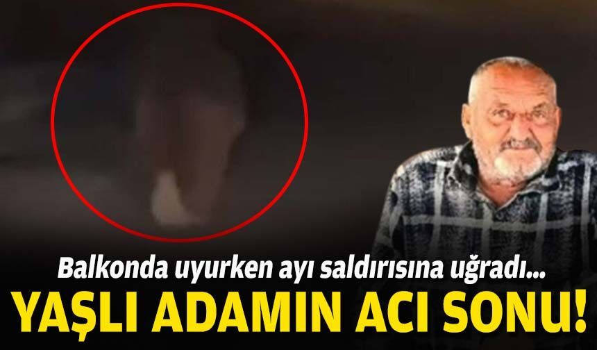 Evinin önünde uyurken ayı saldırısına uğradı: Yaşlı adamın acı sonu!