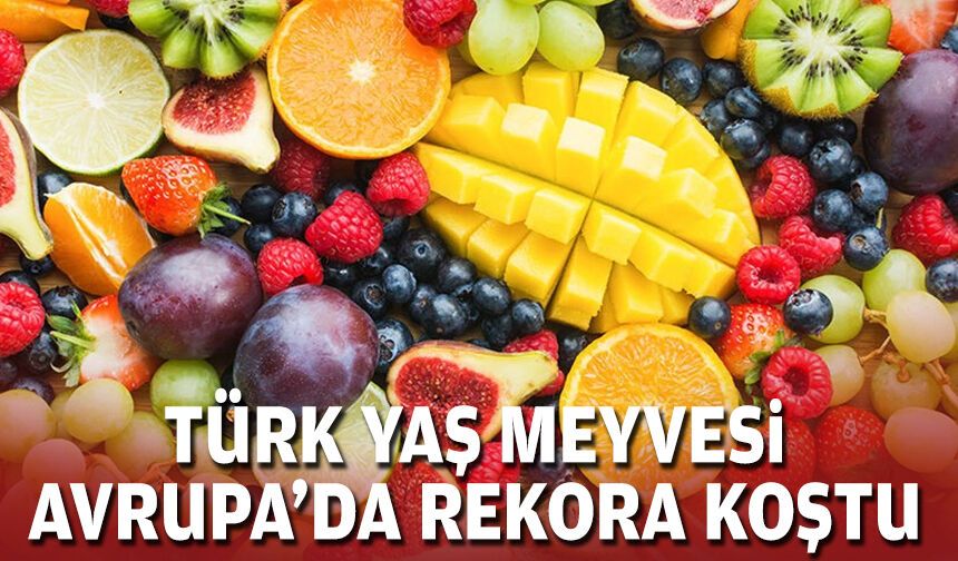 Türk yaş meyvesi Avrupa’da rekora koştu