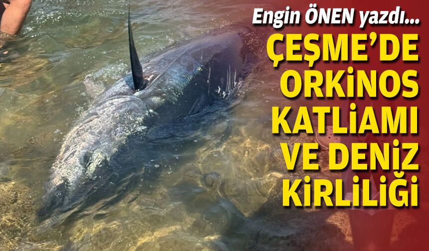 Çeşme’de orkinos katliamı ve deniz kirliliği