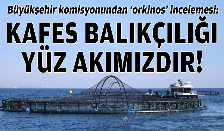 Büyükşehir komisyonundan ‘orkinos’ incelemesi: “Kafes balıkçılığı yüz akımızdır”