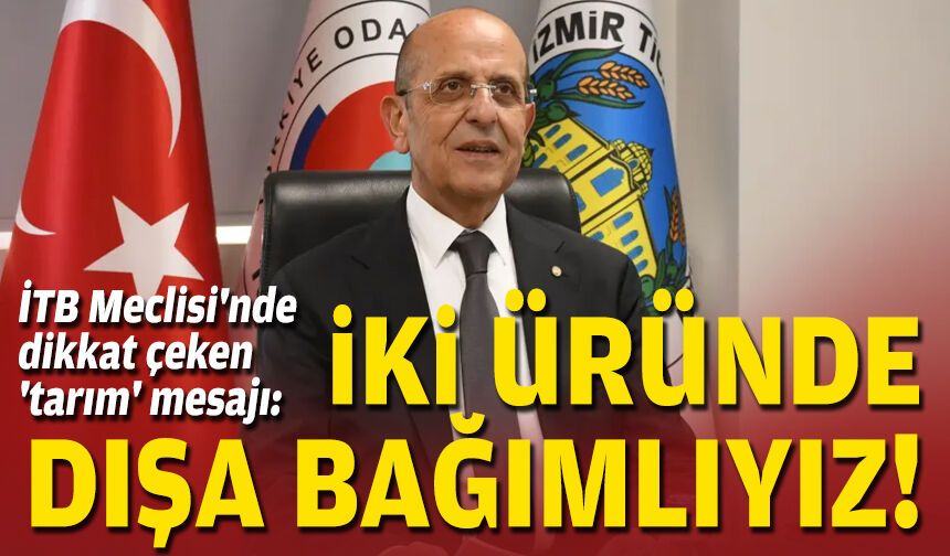 İTB Meclisi'nde dikkat çeken 'tarım' mesajı: İki üründe dışa bağımlıyız!