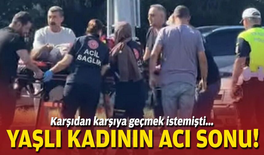 Karşıdan karşıya geçmek istemişti... Yaşlı kadının acı sonu!