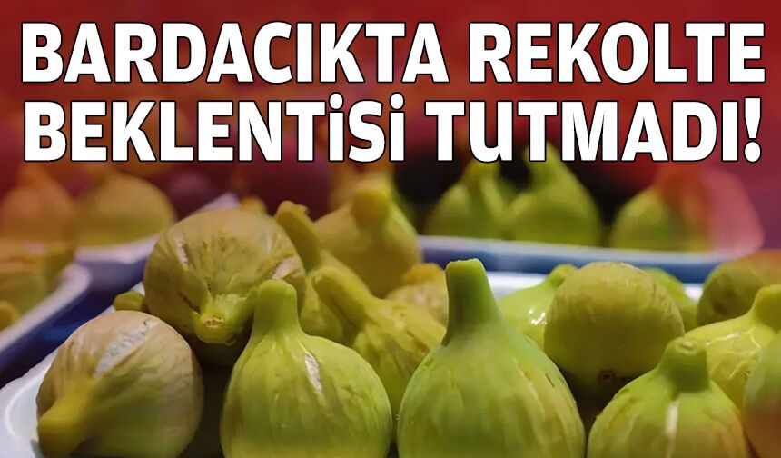 Bardacıkta rekolte beklentisi tutmadı!