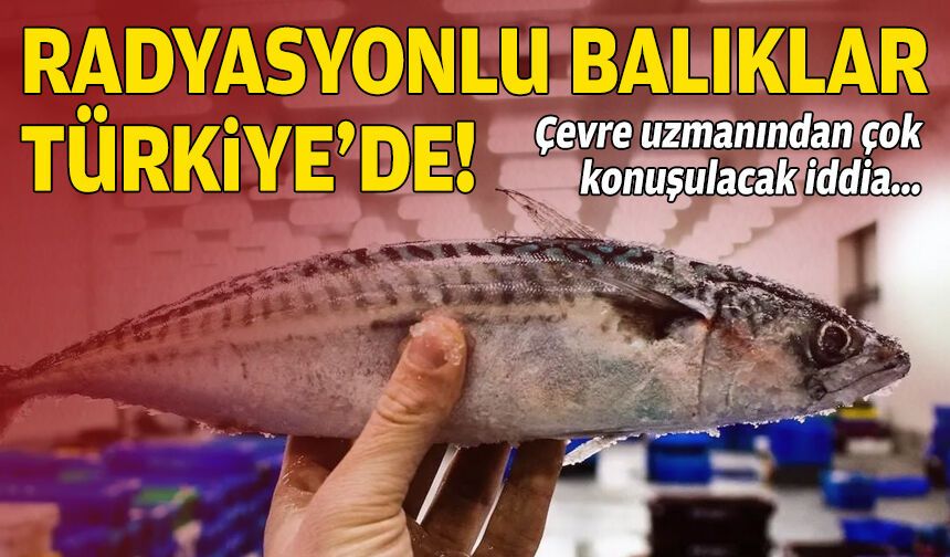 Çevre uzmanından çok konuşulacak iddia: Radyasyonlu balıklar Türkiye'de!