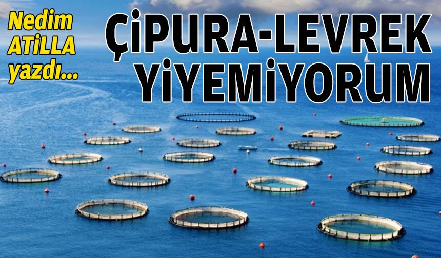 Çipura-levrek yiyemiyorum…