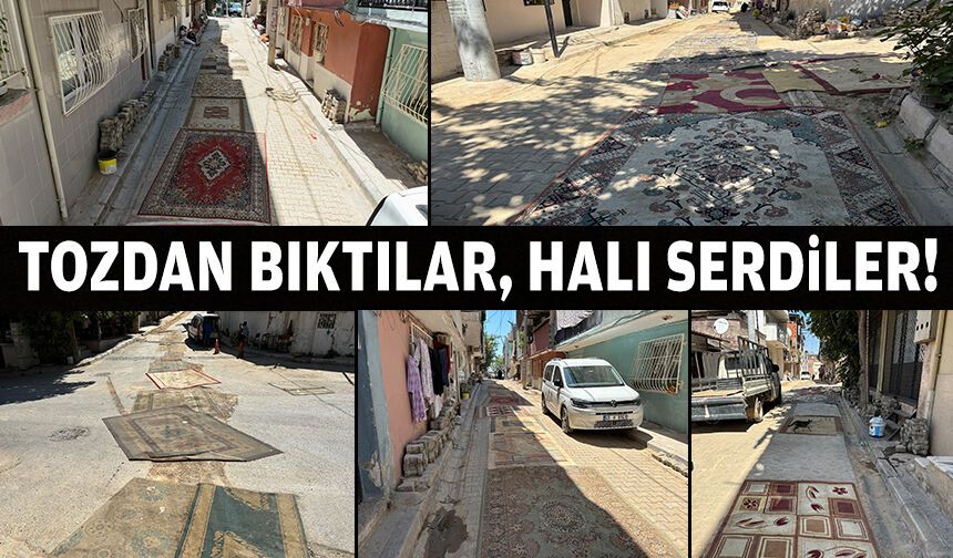 Tozdan bıktılar, halı serdiler!