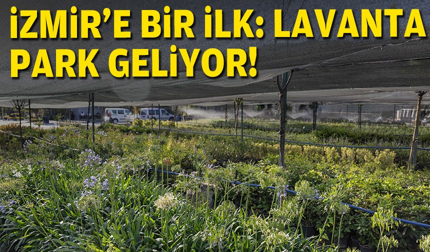 İzmir’in ilk lavanta parkı geliyor!