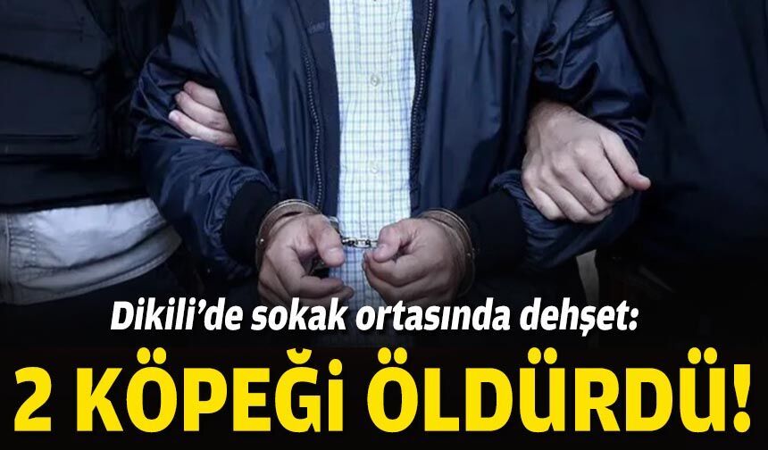 Dikili’de sokak ortasında dehşet: 2 köpeği öldürdü!
