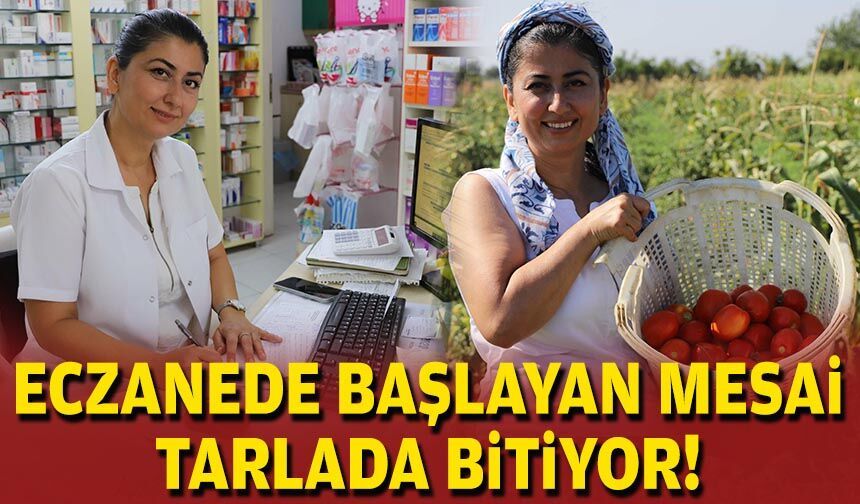 Eczanede başlayan mesai tarlada bitiyor!