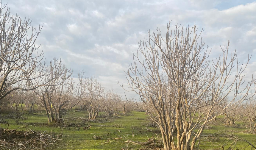 İncirin başkentine 3 yeni hançer yolda!