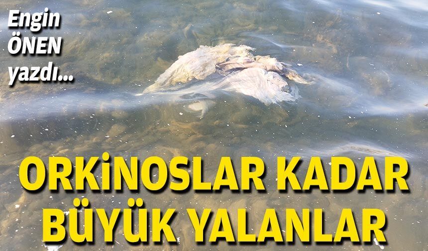 Orkinoslar kadar büyük yalanlar