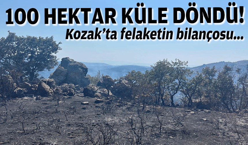 Kozak’ta felaketin bilançosu: 100 hektar küle döndü!