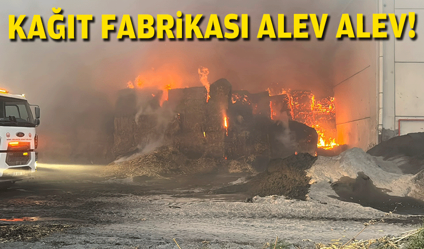 Kağıt fabrikası alev alev!