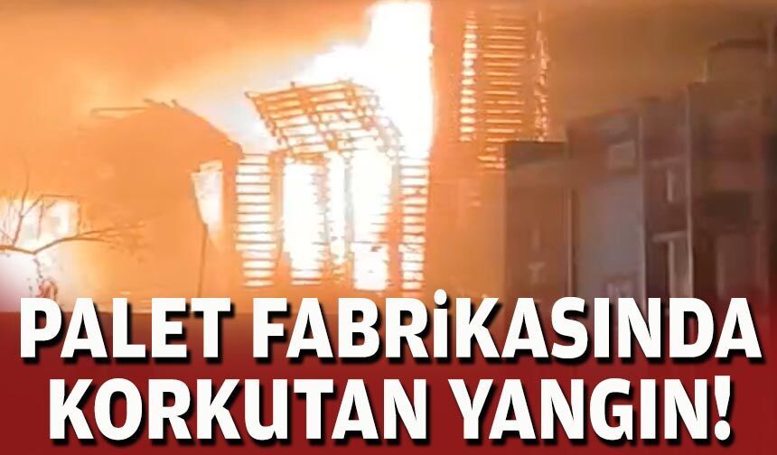 Palet fabrikasında korkutan yangın: İnceleme sürüyor!