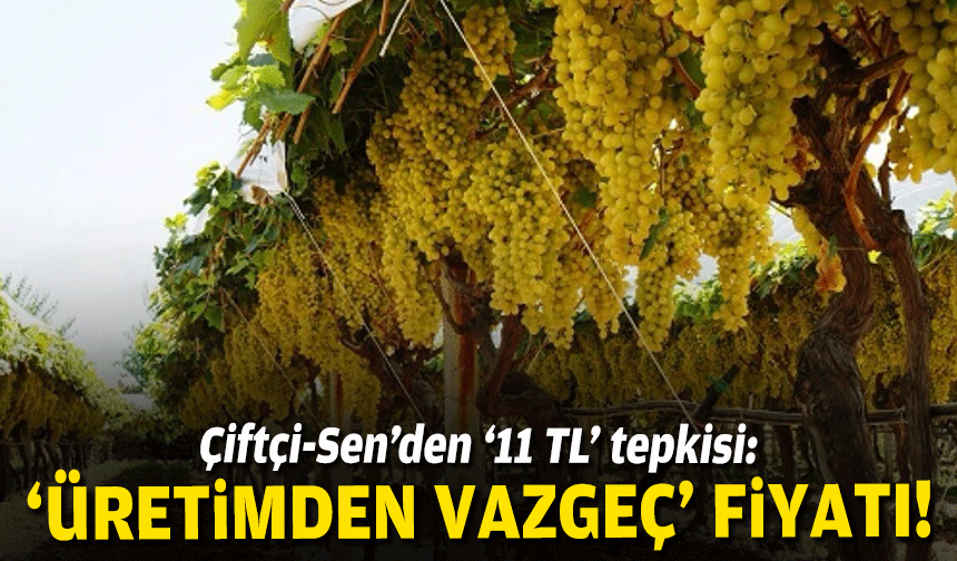 Çiftçi-Sen’den üzüm fiyatına tepki: “Üretimden vazgeç” fiyatı