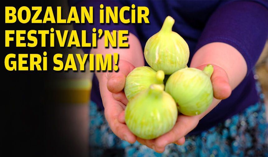 Bozalan İncir Festivali'ne geri sayım!