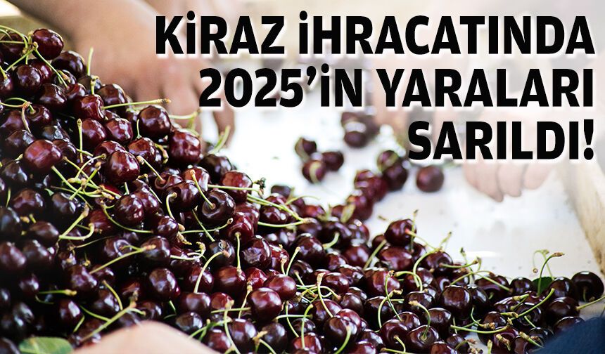 Kiraz ihracatında 2025 yılının yaraları sarıldı!