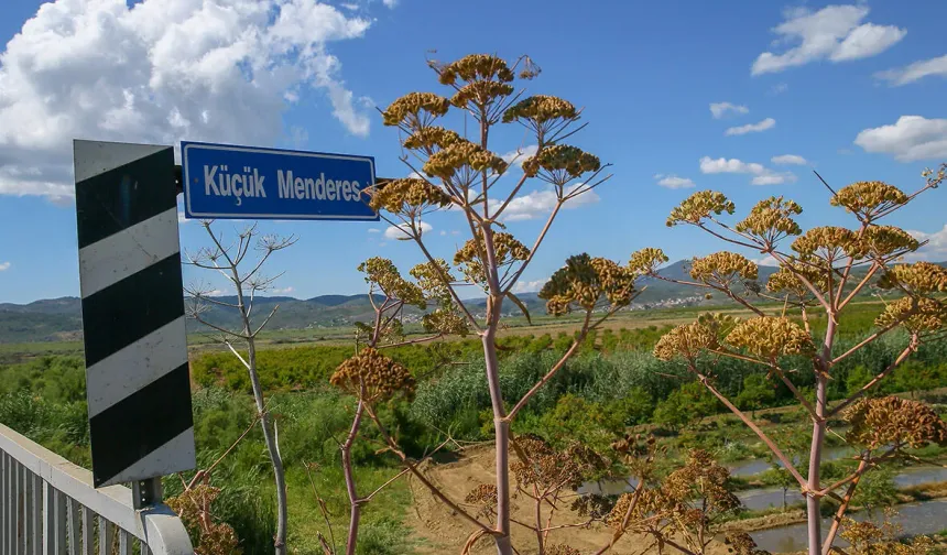 İzmir'in tarım üssünde tehlike çanları... Suda kirlilik, toprakta ağır metal!