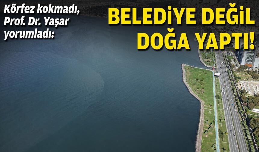 Körfez kokmadı, Prof. Dr. Yaşar yorumladı: Belediye değil doğa yaptı!