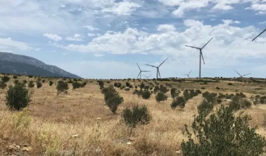 Karaburun Kent Konseyi: GES projeleri yaşam alanlarımızı tehdit ediyor