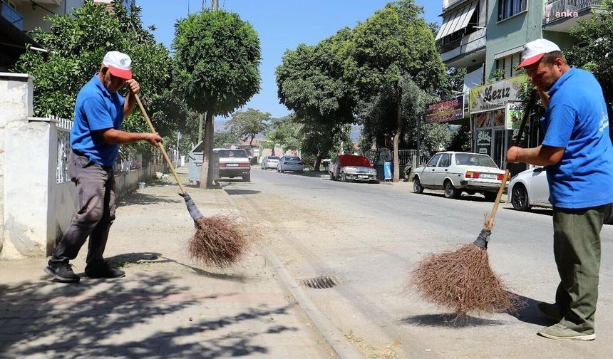 Ödemiş'te dikkat çeken çalı süpürge ihalesi... Sayı 5 yılda 205 bine ulaştı!