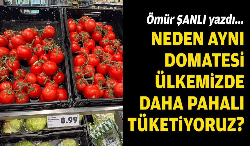 Ömür ŞANLI yazdı... Neden aynı domatesi ülkemizde daha pahalı tüketiyoruz?