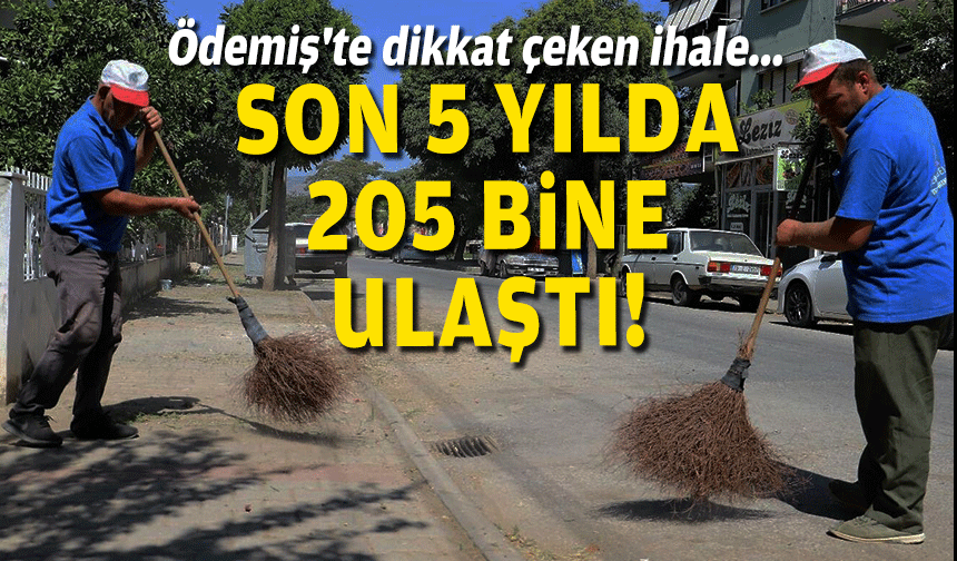 Ödemiş'te dikkat çeken çalı süpürge ihalesi... Sayı 5 yılda 205 bine ulaştı!
