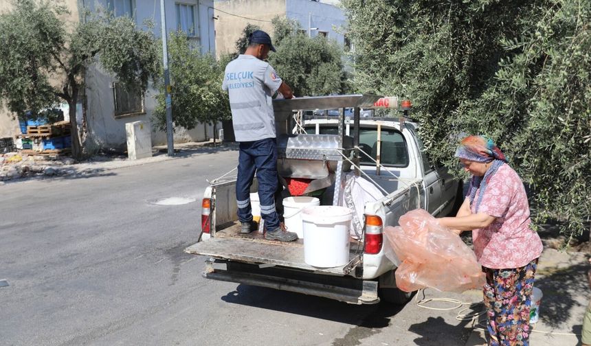 Selçuk’ta kış hazırlığı başladı: Salçalar belediye desteğiyle hazırlanıyor