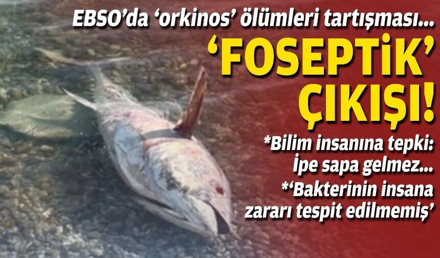 EBSO’da ‘orkinos’ ölümleri tartışması... Meclis üyesinden 'foseptik' çıkışı!