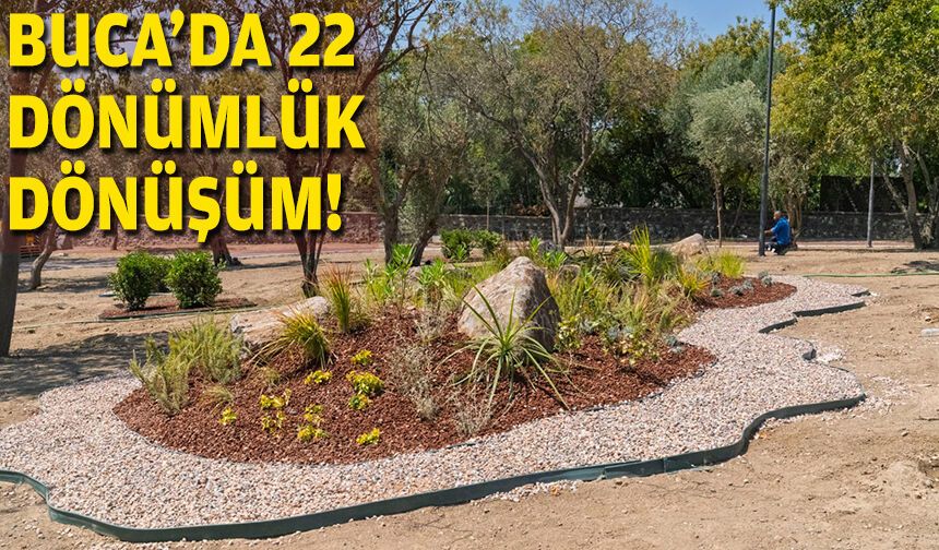 Buca’da 22 dönümlük dönüşüm!