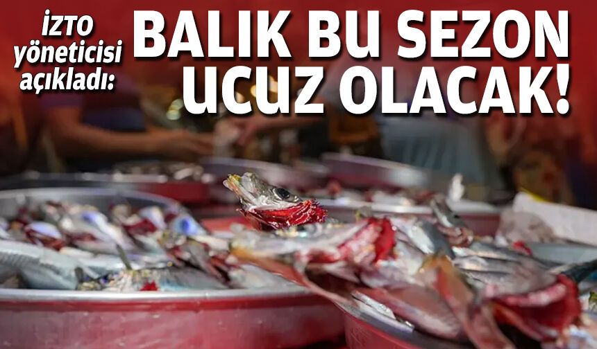 İZTO yöneticisi açıkladı: Balık bu sezon ucuz olacak!