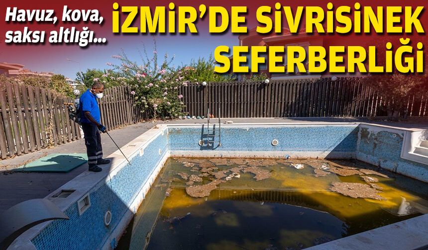Havuz, kova, saksı altlığı… İzmir’de sivrisinek seferberliği