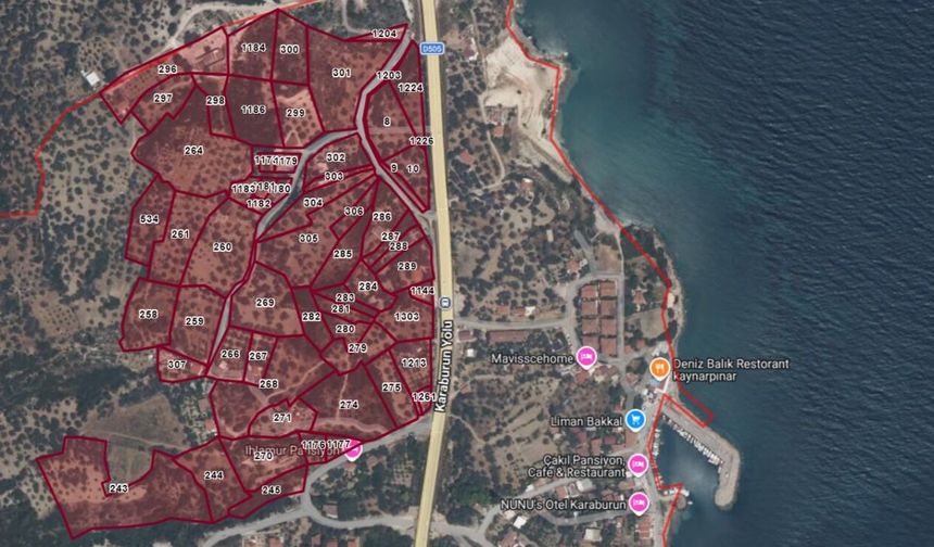 Karaburun’da zeytinlikleri imara açan plana itiraz!