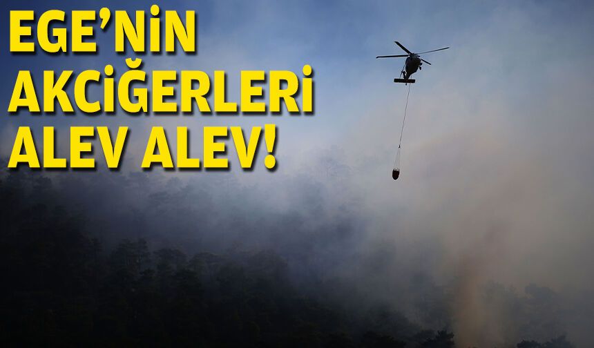 Rüzgarın etkisiyle büyüdü... Ege'nin akciğerleri alev alev!
